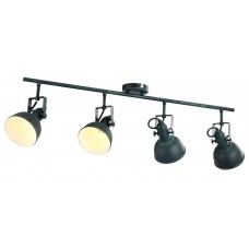 Спот Arte Lamp Martin A5215PL-4BG